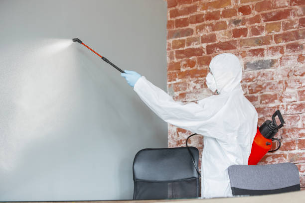 Best Dehumidification Services  in Montezuma, GA