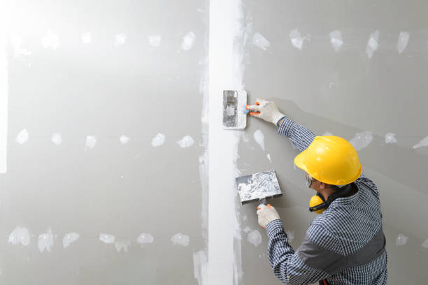 Best Attic Mold Removal  in Montezuma, GA
