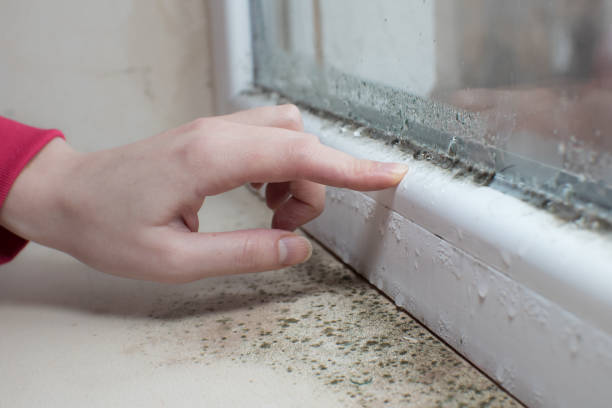 Best Mold Remediation for Healthcare Facilities  in Montezuma, GA