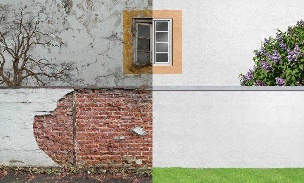 Best Forensic Mold Investigation  in Montezuma, GA