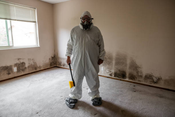Best Emergency Mold Remediation  in Montezuma, GA